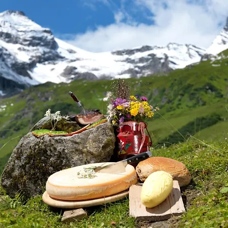 Апартаменты Kitzsteinhorn Целль-ам-Зе