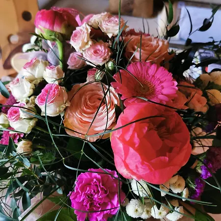 Daire Seeappartement Kitzsteinhorn *